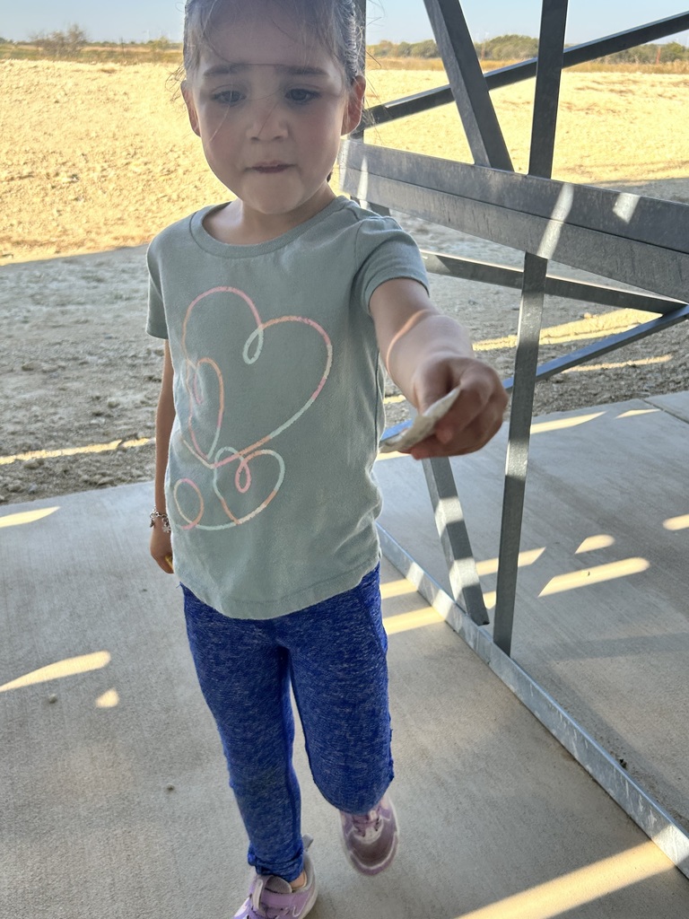 Community day photos 