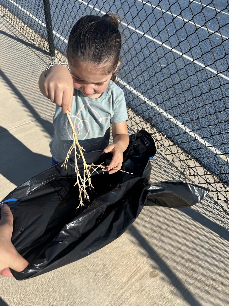 Community day photos 