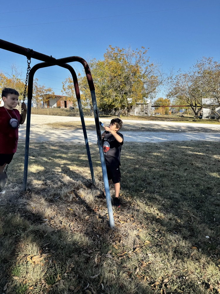 painting the swing set