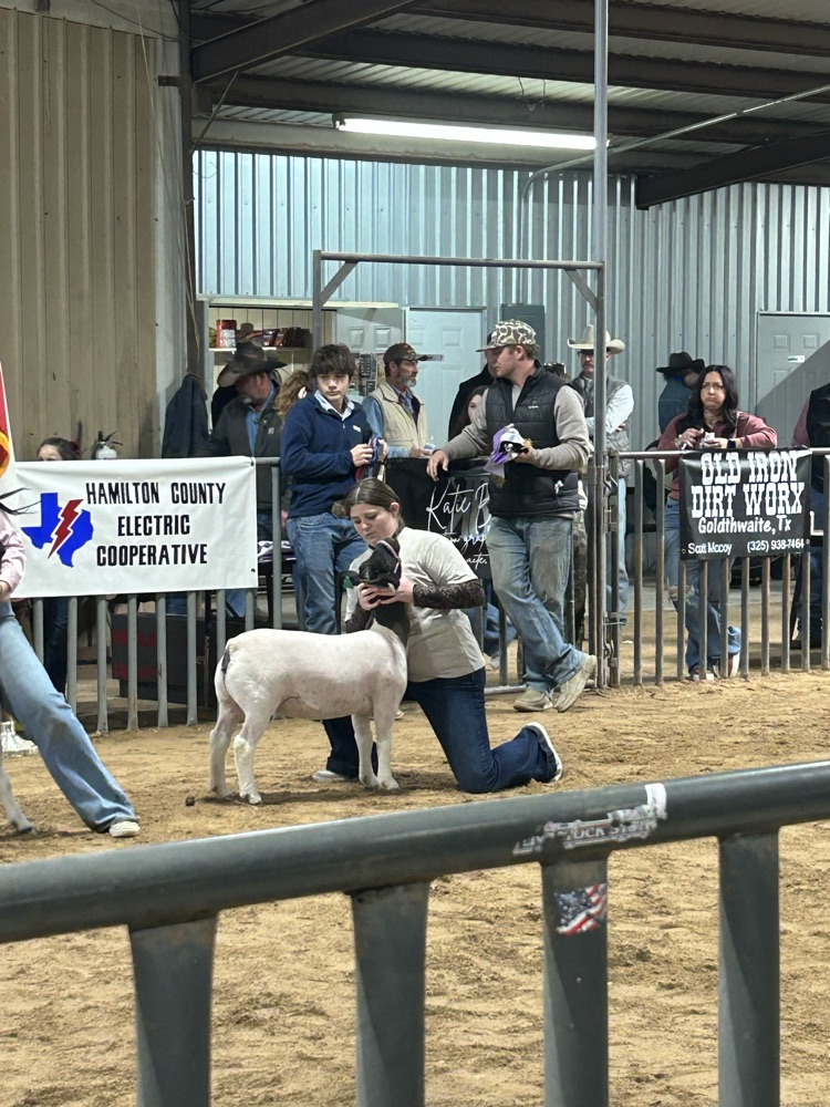 Khloe Seider with her Dorper