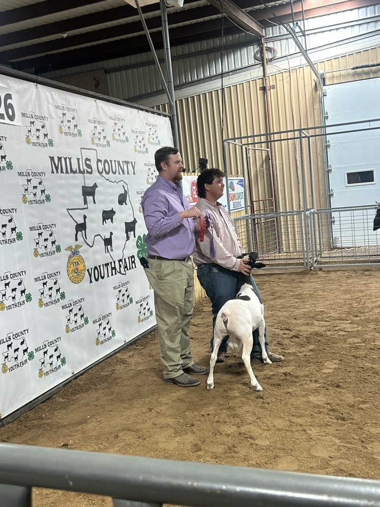 Nicholas Kilgor with his Dorper