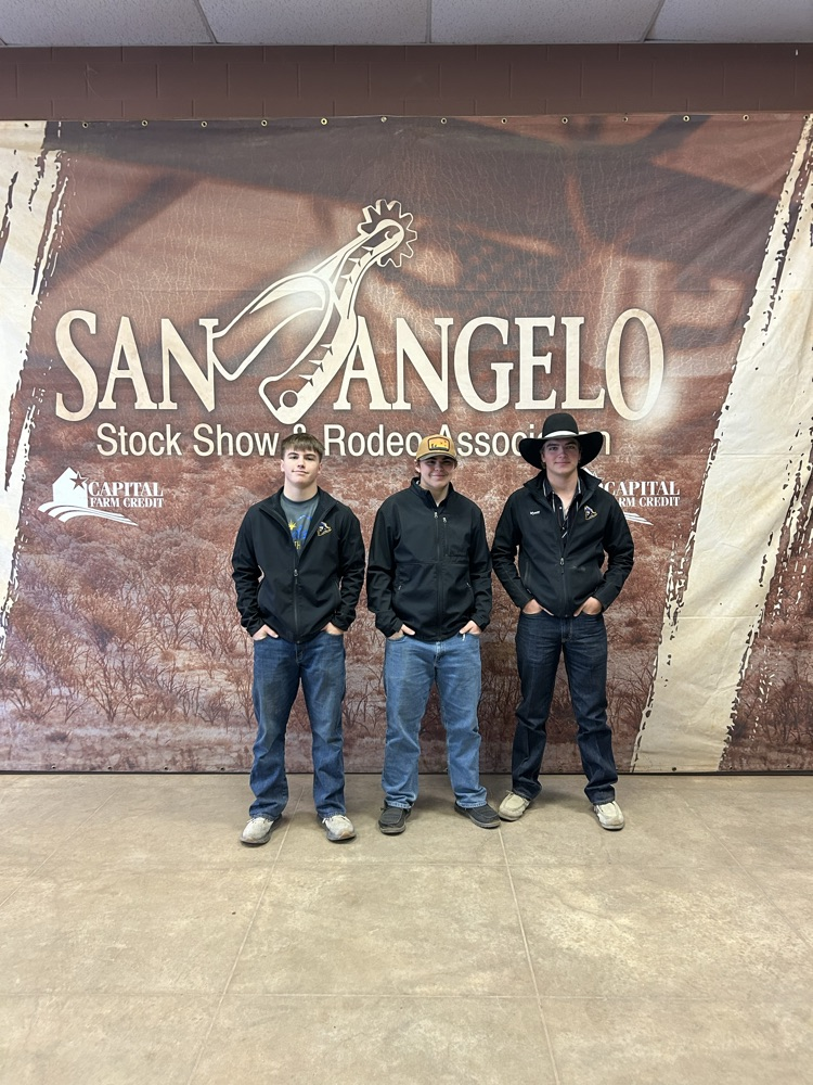 Wyatt, Shane, and Mathew