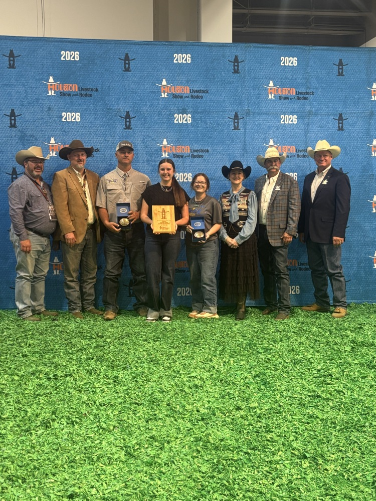 Sadie’s Backdrop picture