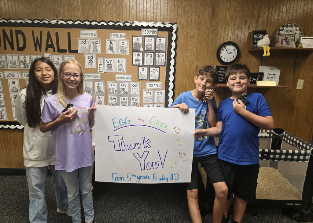 egg to chick 5th grade