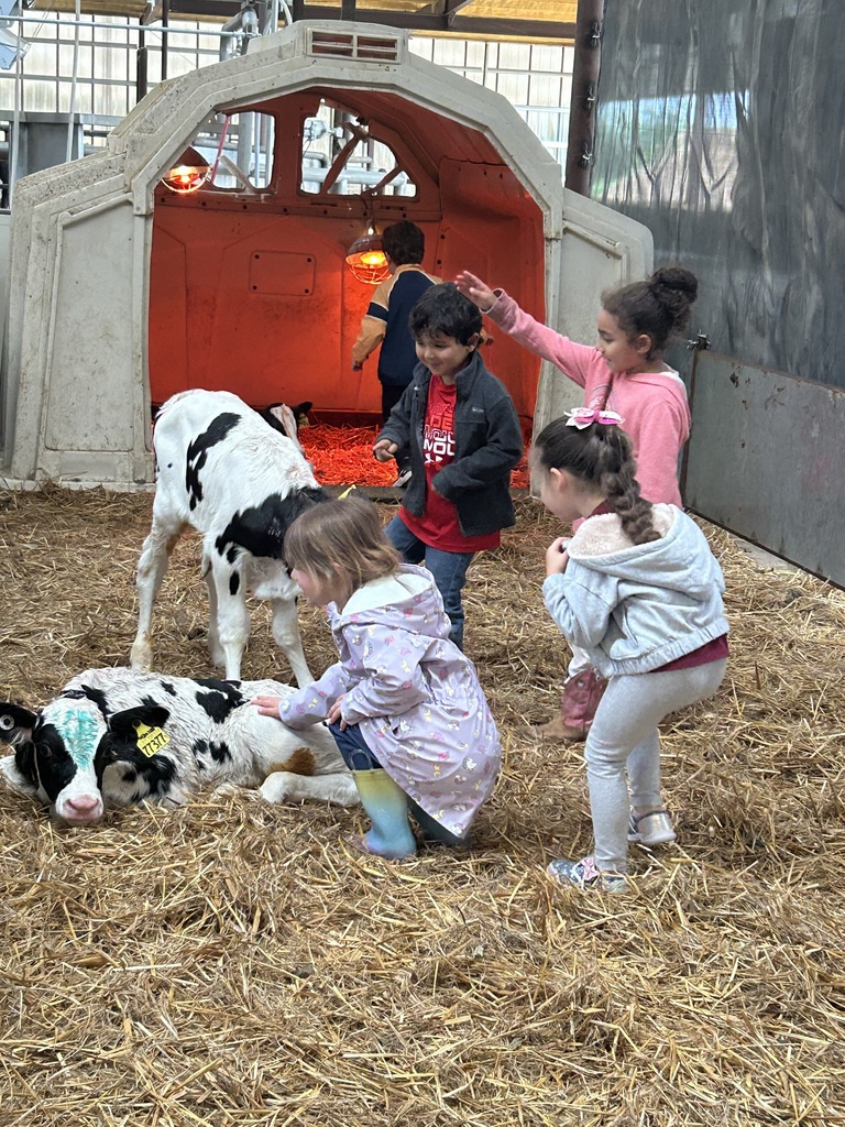 Volleman’s dairy 