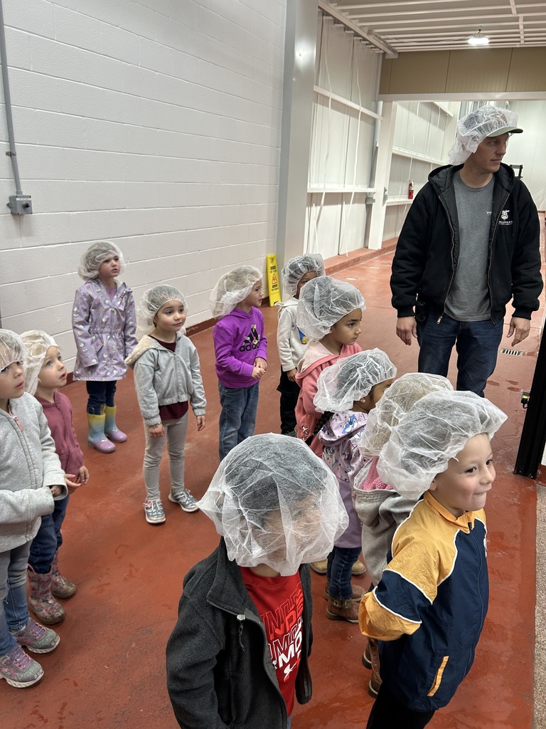 Volleman’s dairy 
