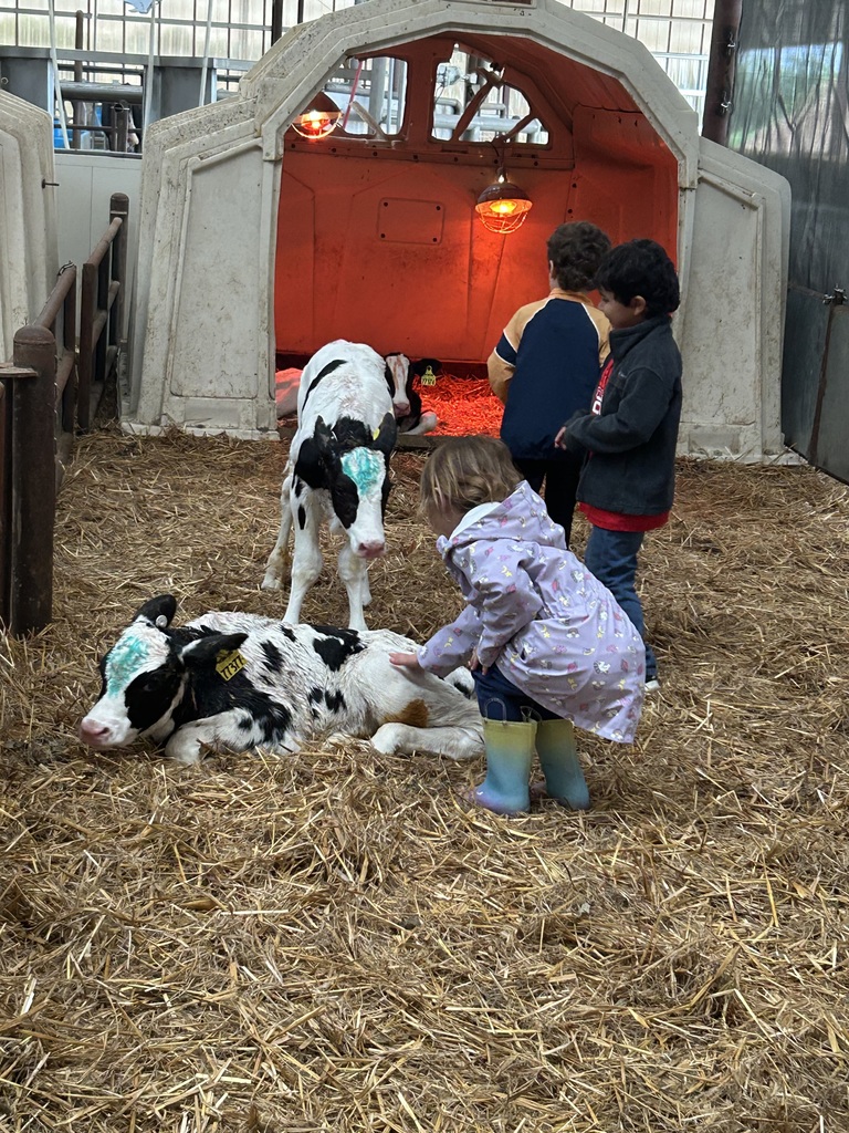 Volleman’s dairy 