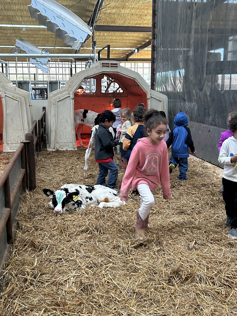 Volleman’s dairy 