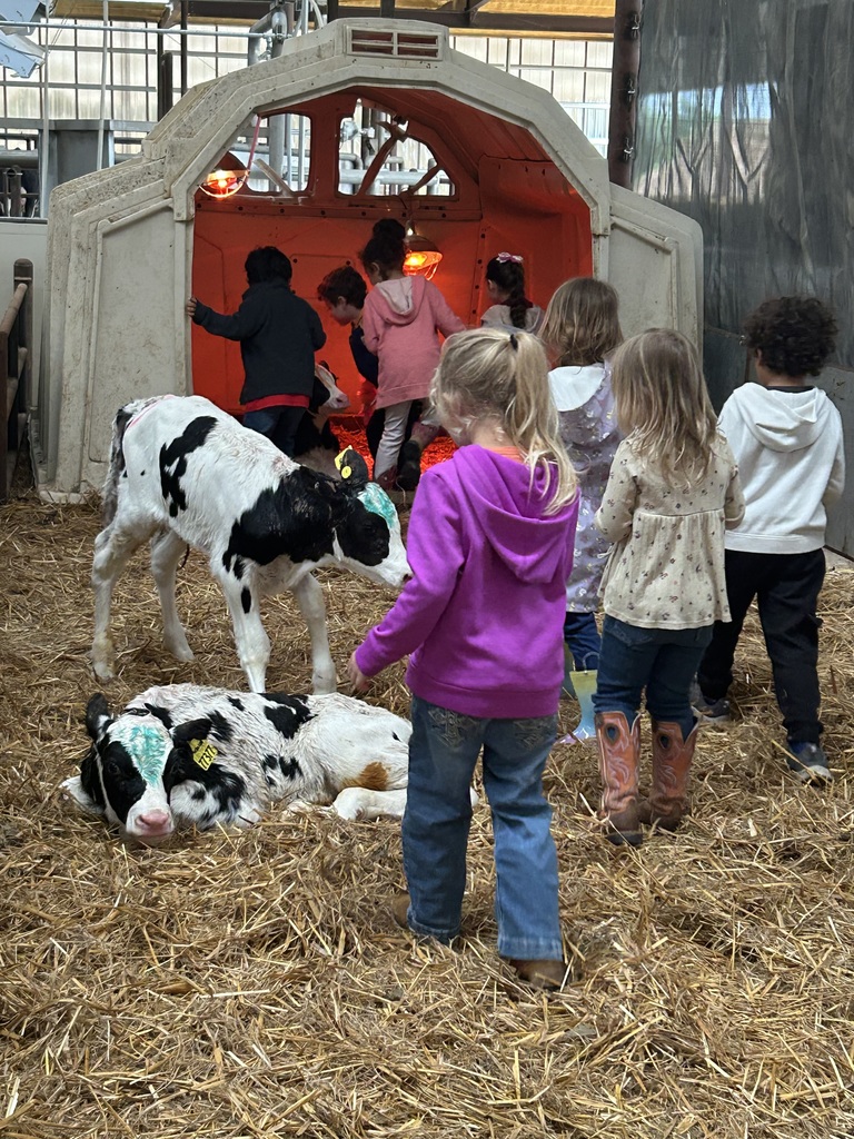 Volleman’s dairy 