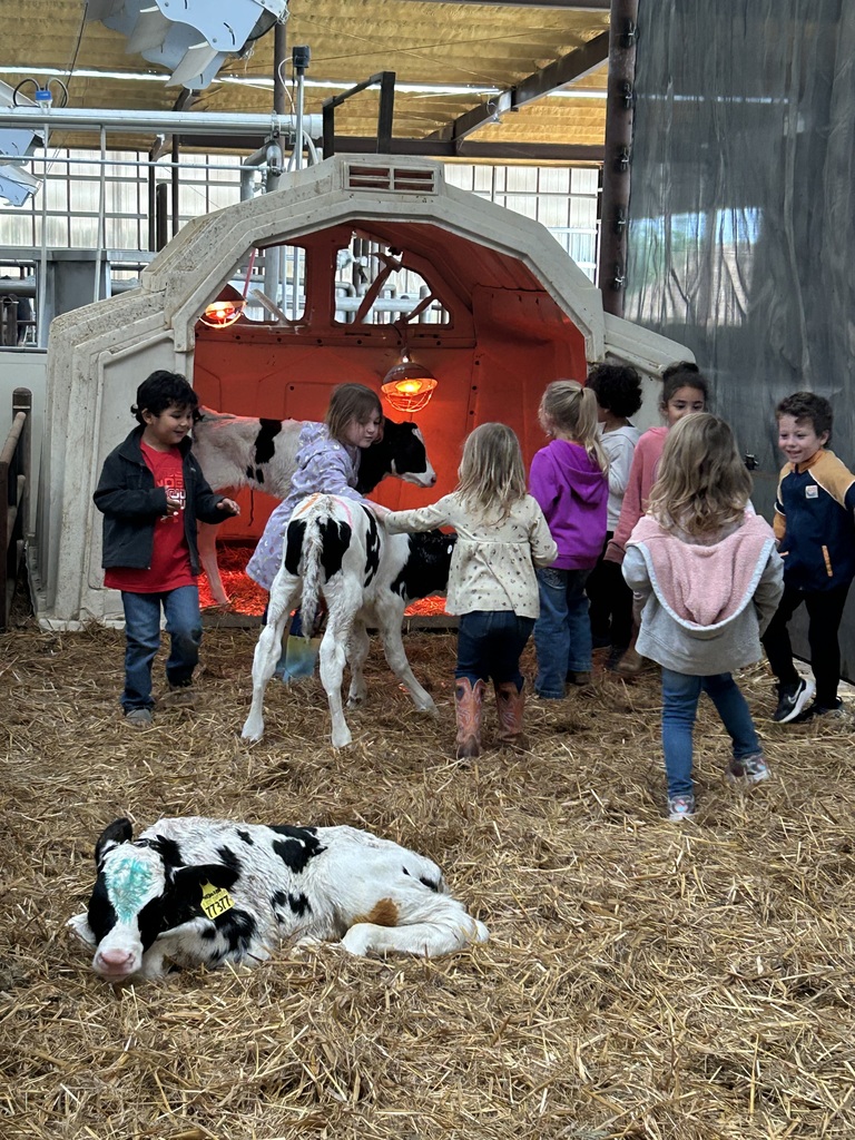 Volleman’s dairy 