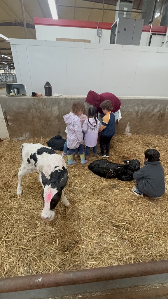 Volleman’s dairy 