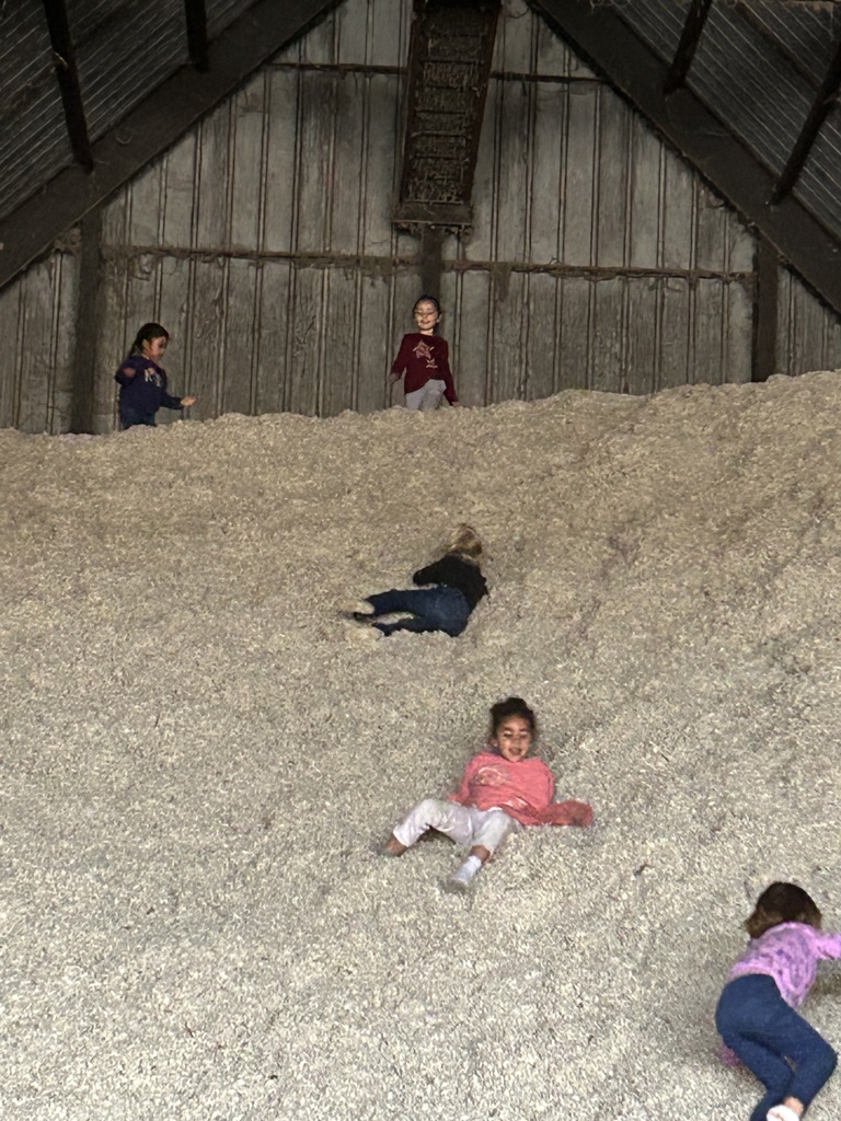 Volleman’s dairy 