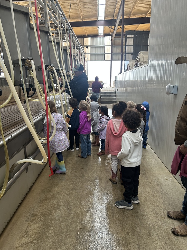 Volleman’s dairy 
