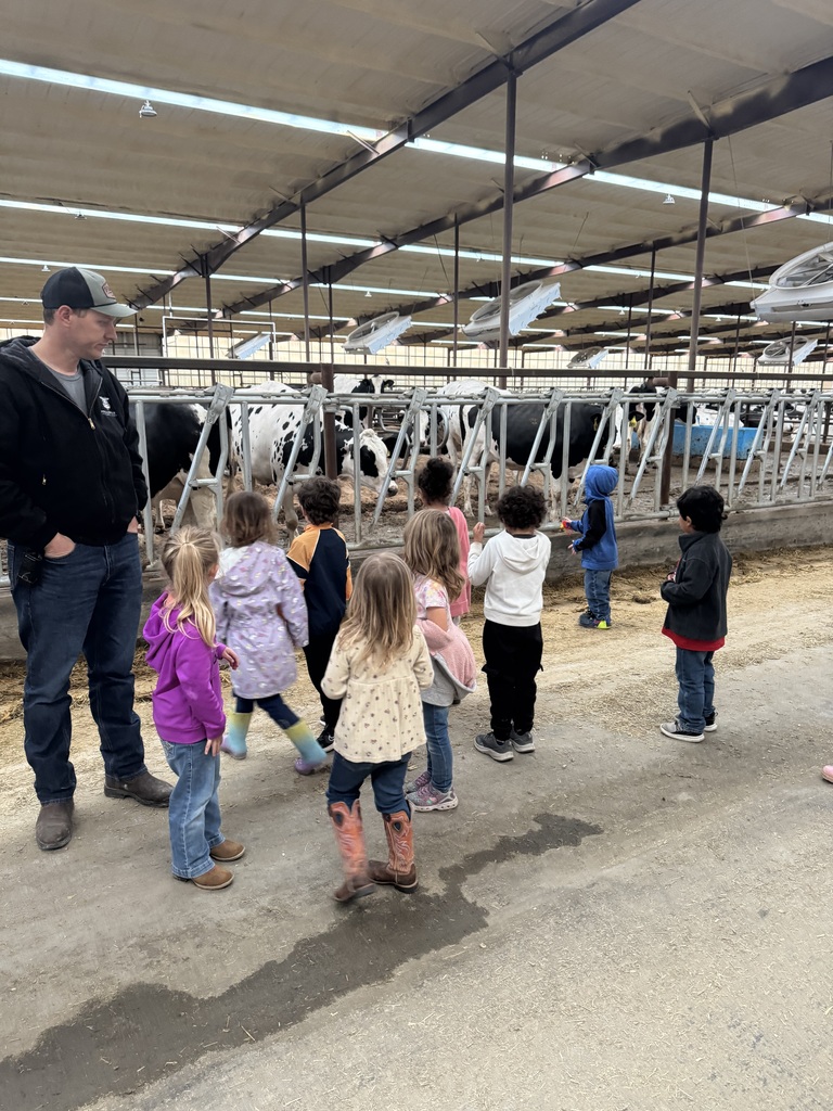 Volleman’s dairy 