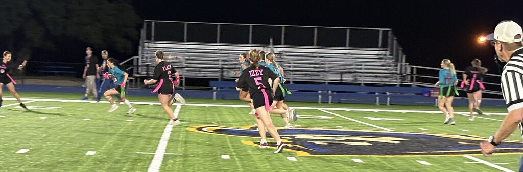 Powder Puff game