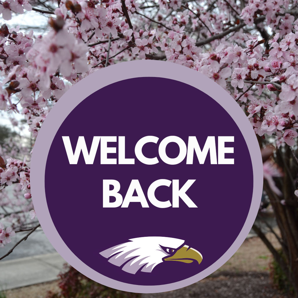 Welcome Back 