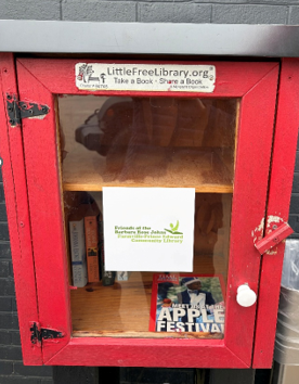 The Little Free Library at Jenkins Blue and Gray in Rice, VA
