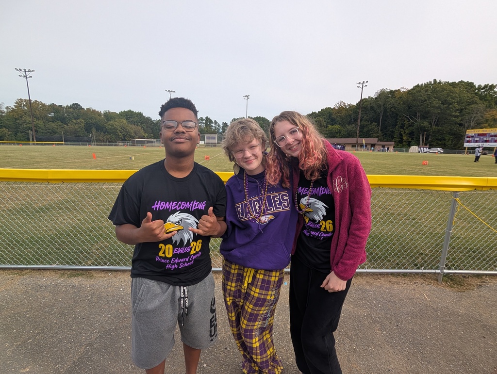 homecoming purple and gold day 