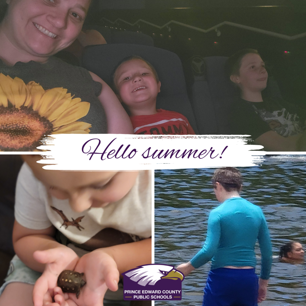 summer fun