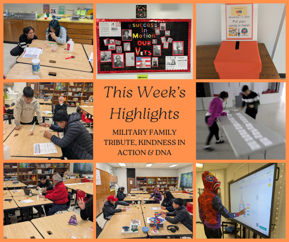 This Week's Highlights