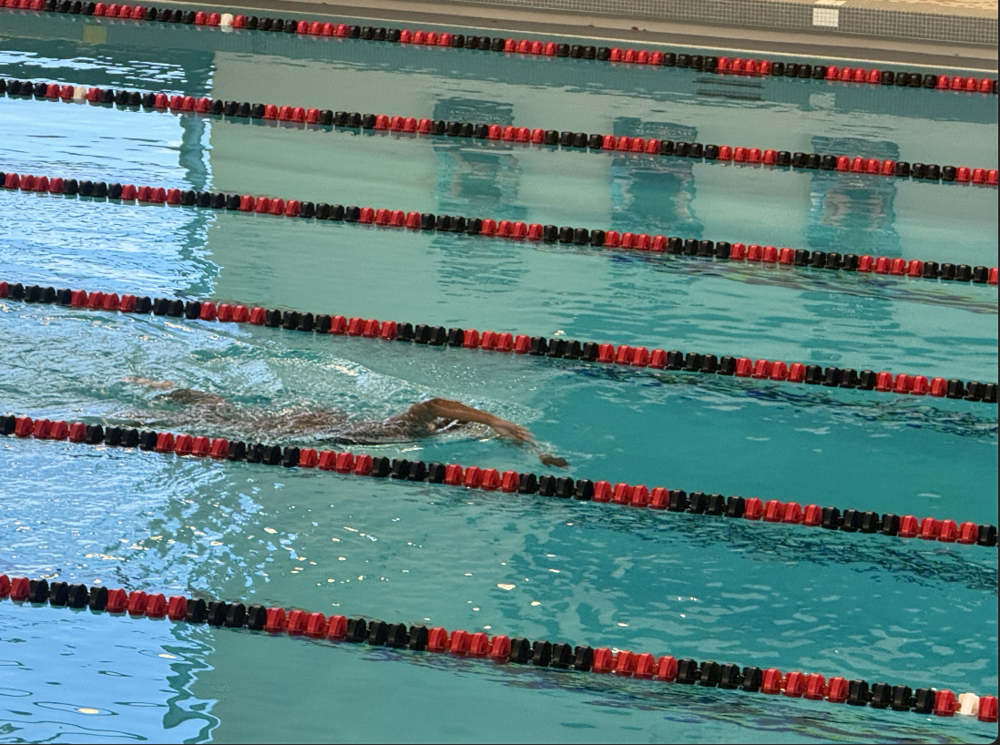 Princeton swimmer in the pool swimming during a competiton