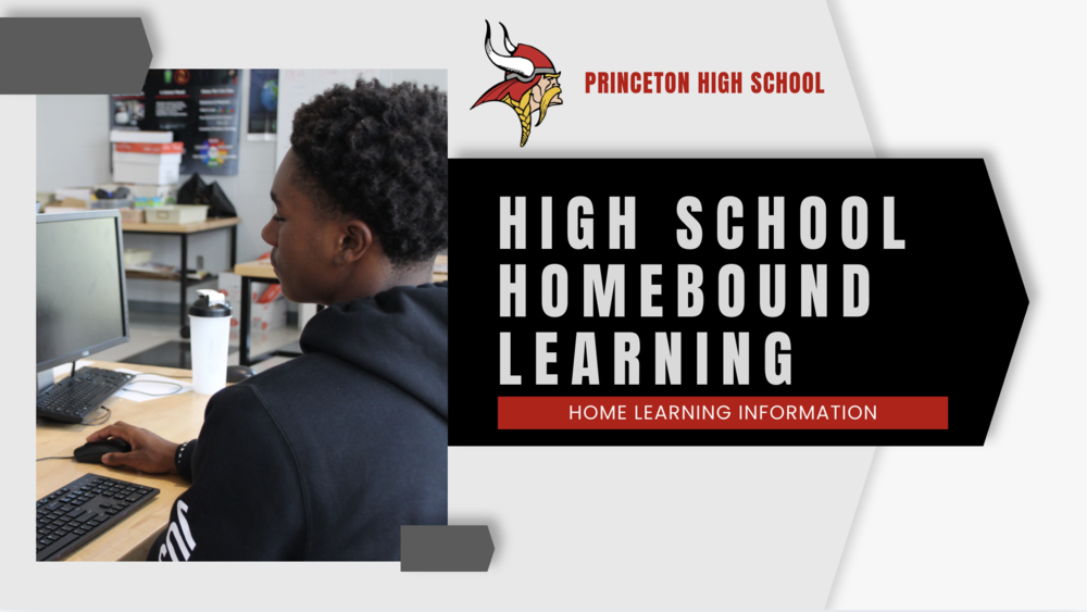 Princeton High School student working at a computer