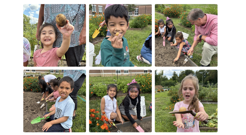 students in the garden at Stewart Elementary