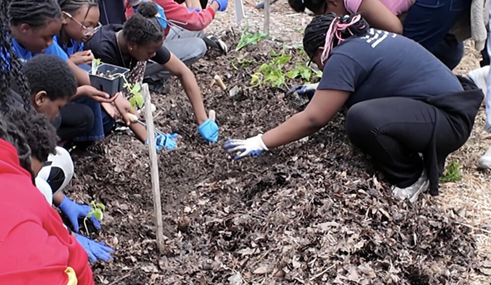 Lincoln Heights Students digging in a trench and planting seeds.