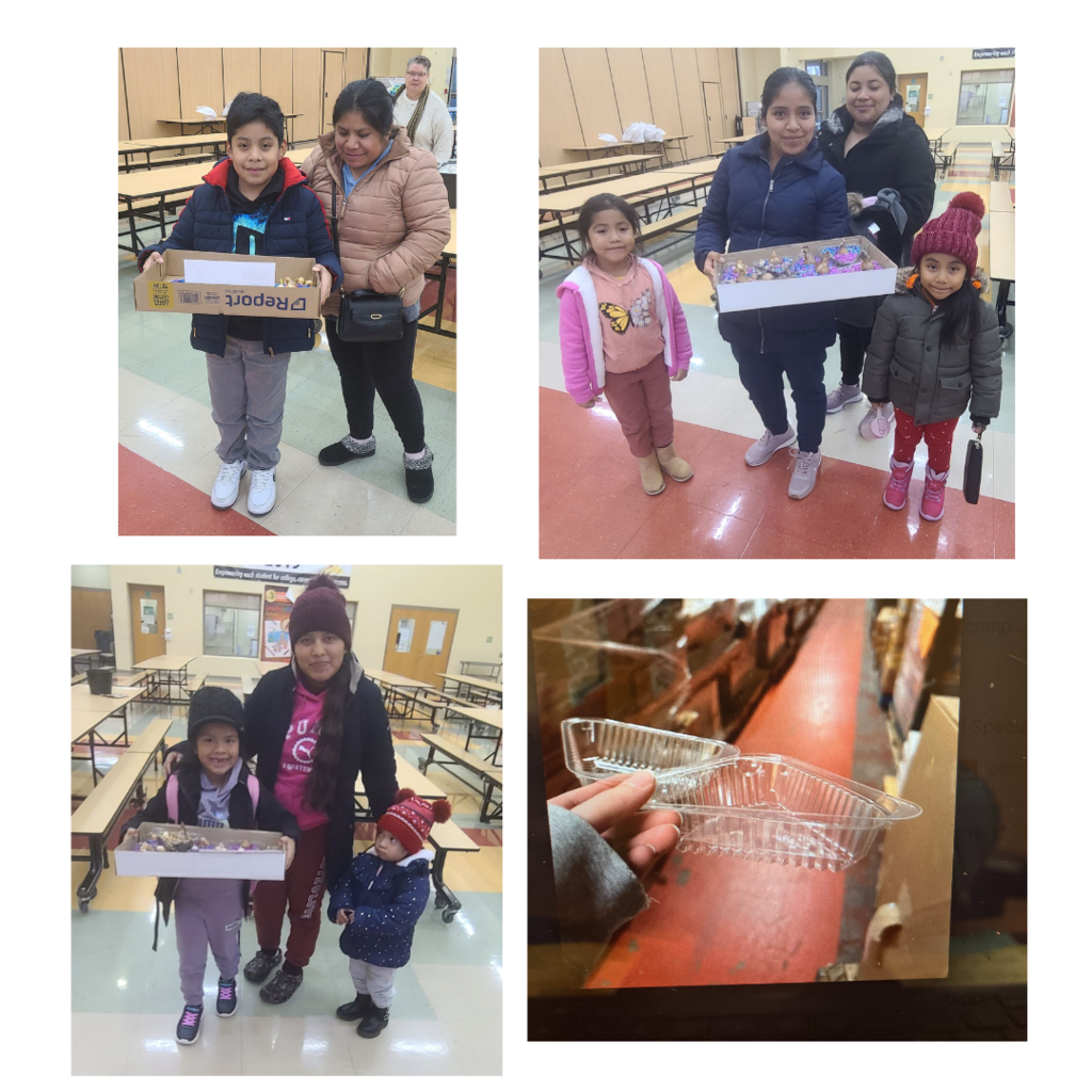 Photo collage of families participating in the Bulbs to Bloom program