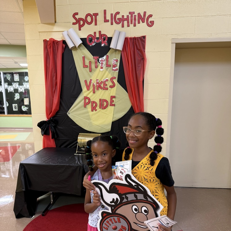 little vikes