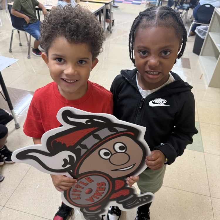 little vikes