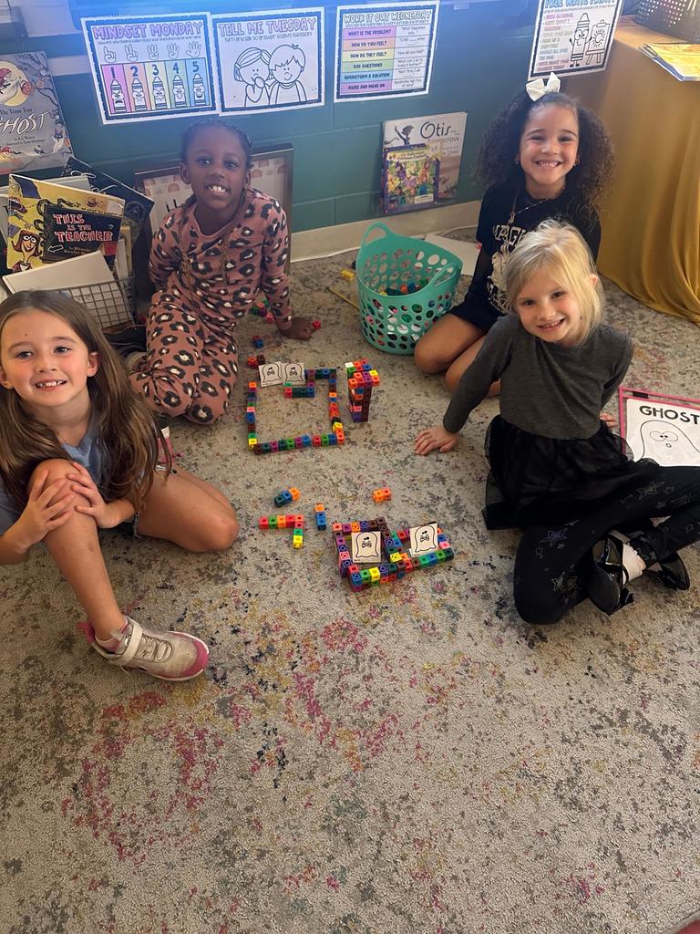 #EV firsties stem projects