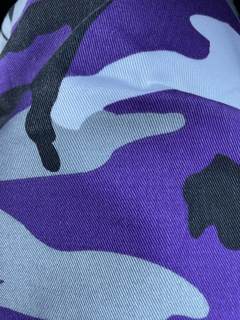 #EV dressed up in camo