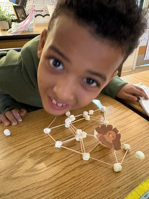 #EV turkey trap with marsh