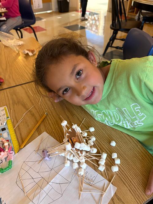 #EV turkey trap with marsh