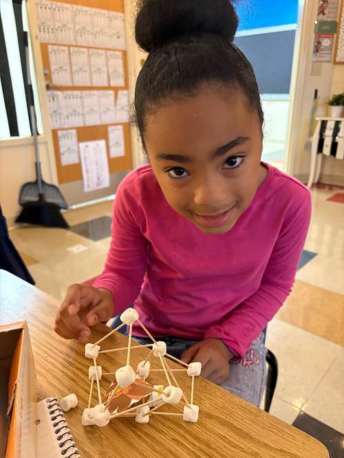 #EV turkey trap with marsh