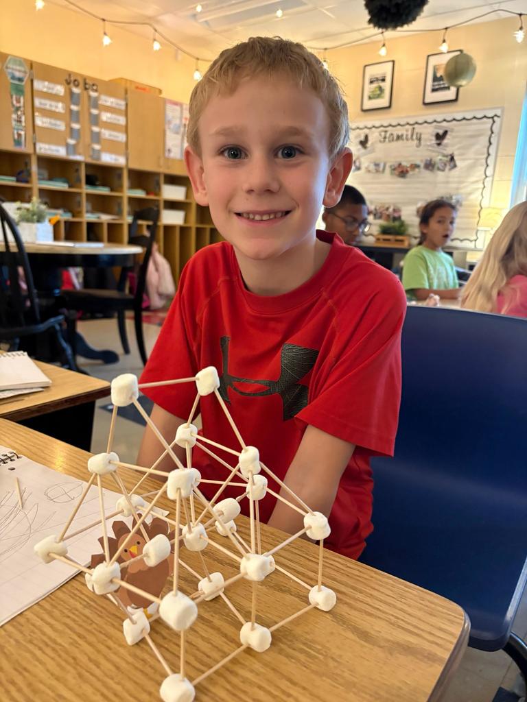 #EV turkey trap with marsh