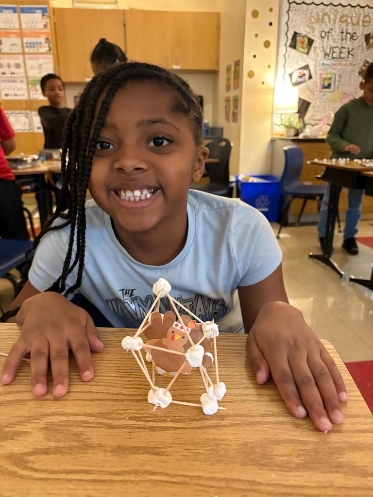 #EV turkey trap with marsh