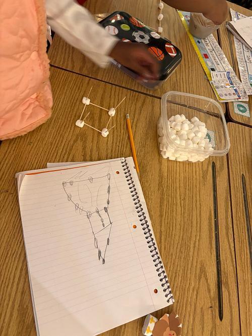 #EV turkey trap with marsh