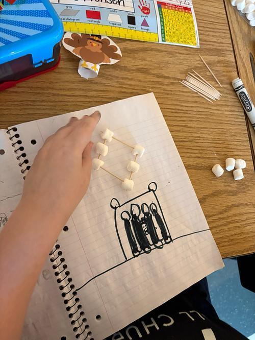 #EV turkey trap with marsh