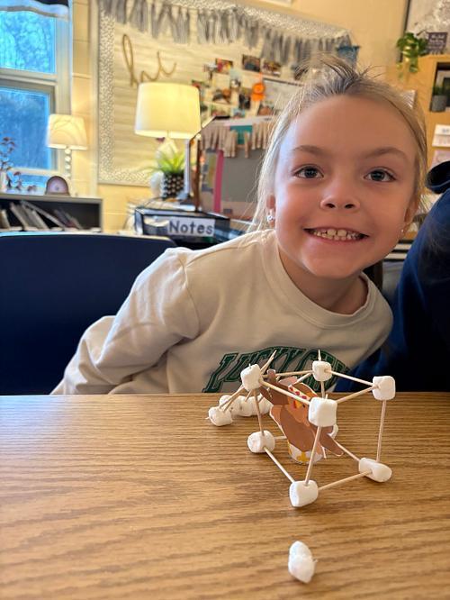 #EV turkey trap with marsh