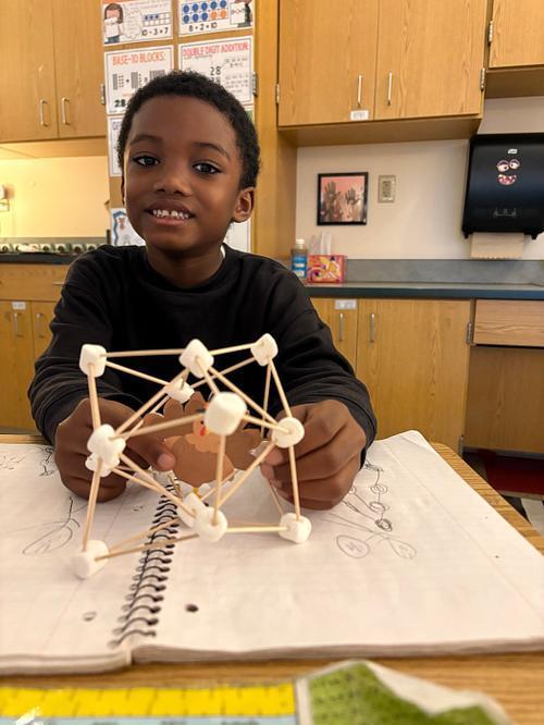 #EV turkey trap with marsh