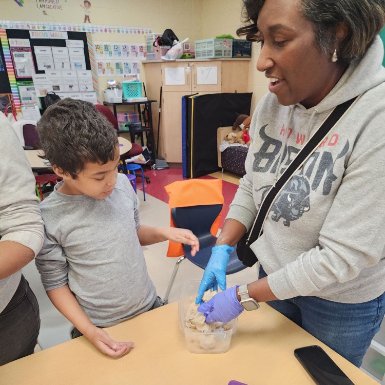 stem Friday Buchanan