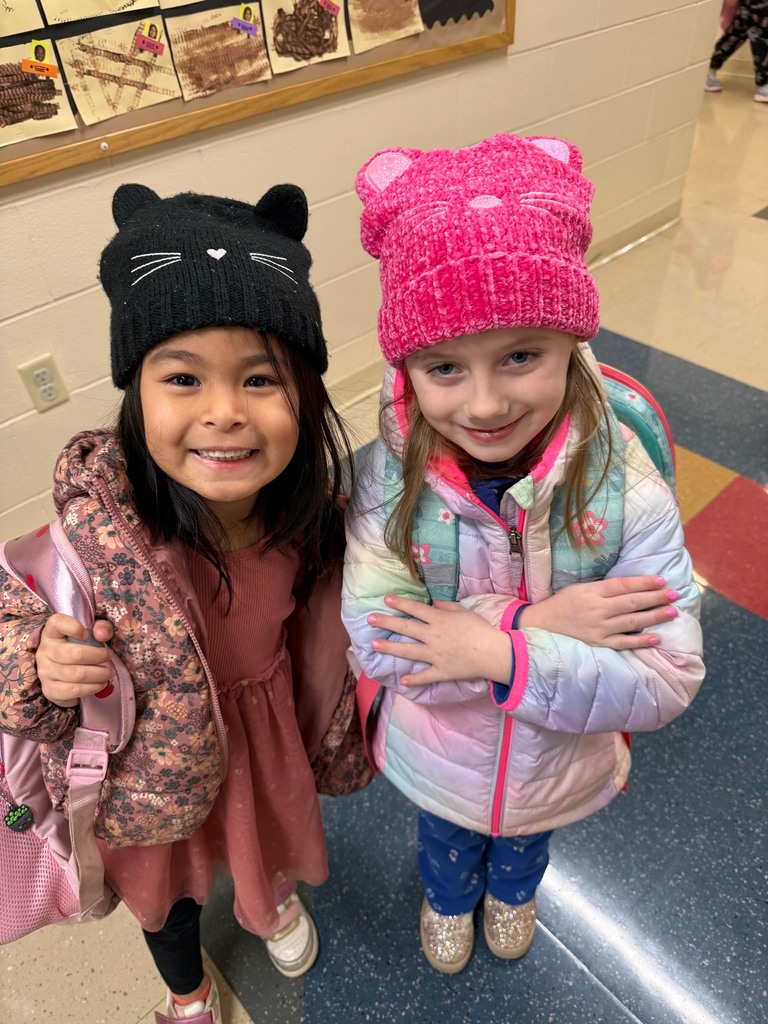 #EV twinning at school