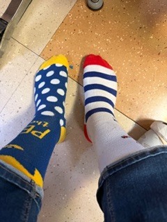 #EV  socks of various colors