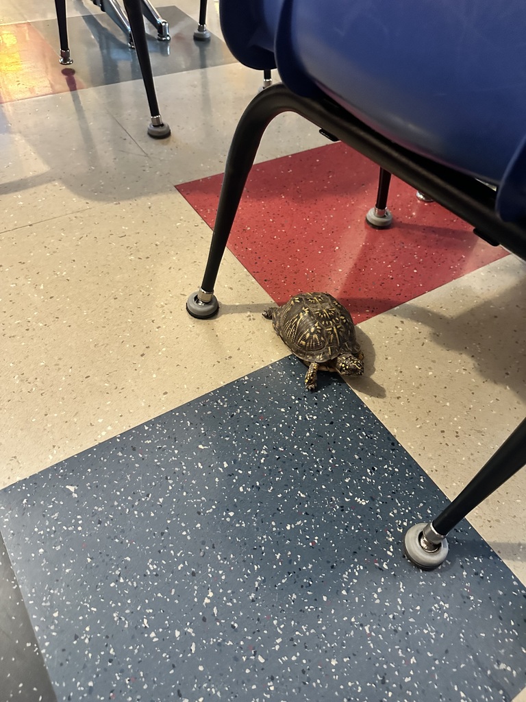 #EV students holding animals in the classroom