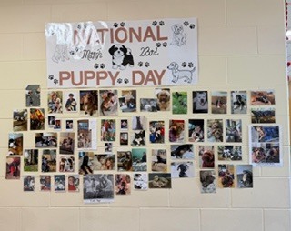 #EV pictues of people with puppies
