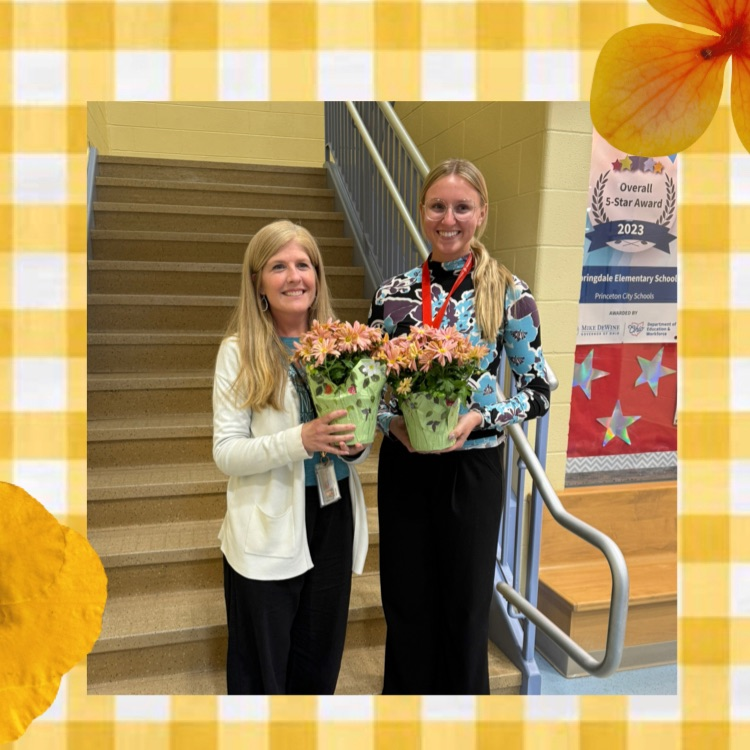 SP Viking Excellence 