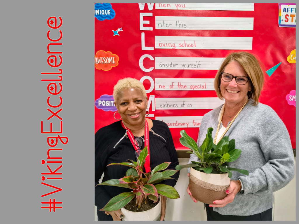 Viking Excellence 2026