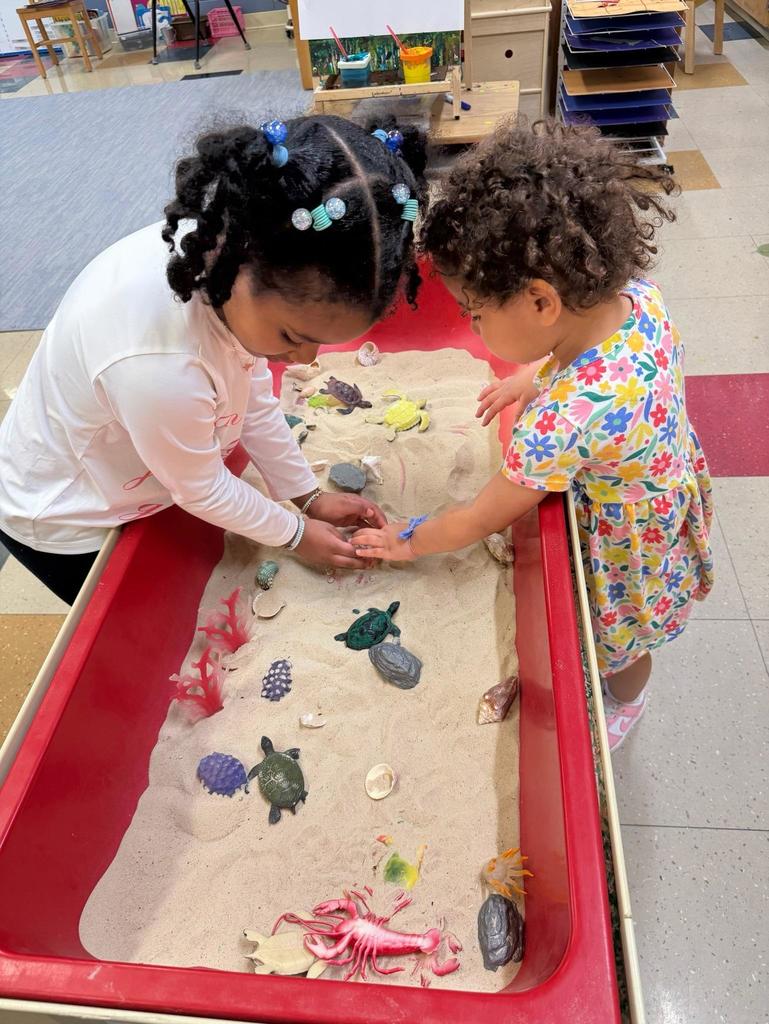 Two young children play together at a red sensory table filled with sand and small ocean-themed toys, including turtles, shells, and sea animals. The children are focused on scooping and exploring the sand while standing in a classroom environment.